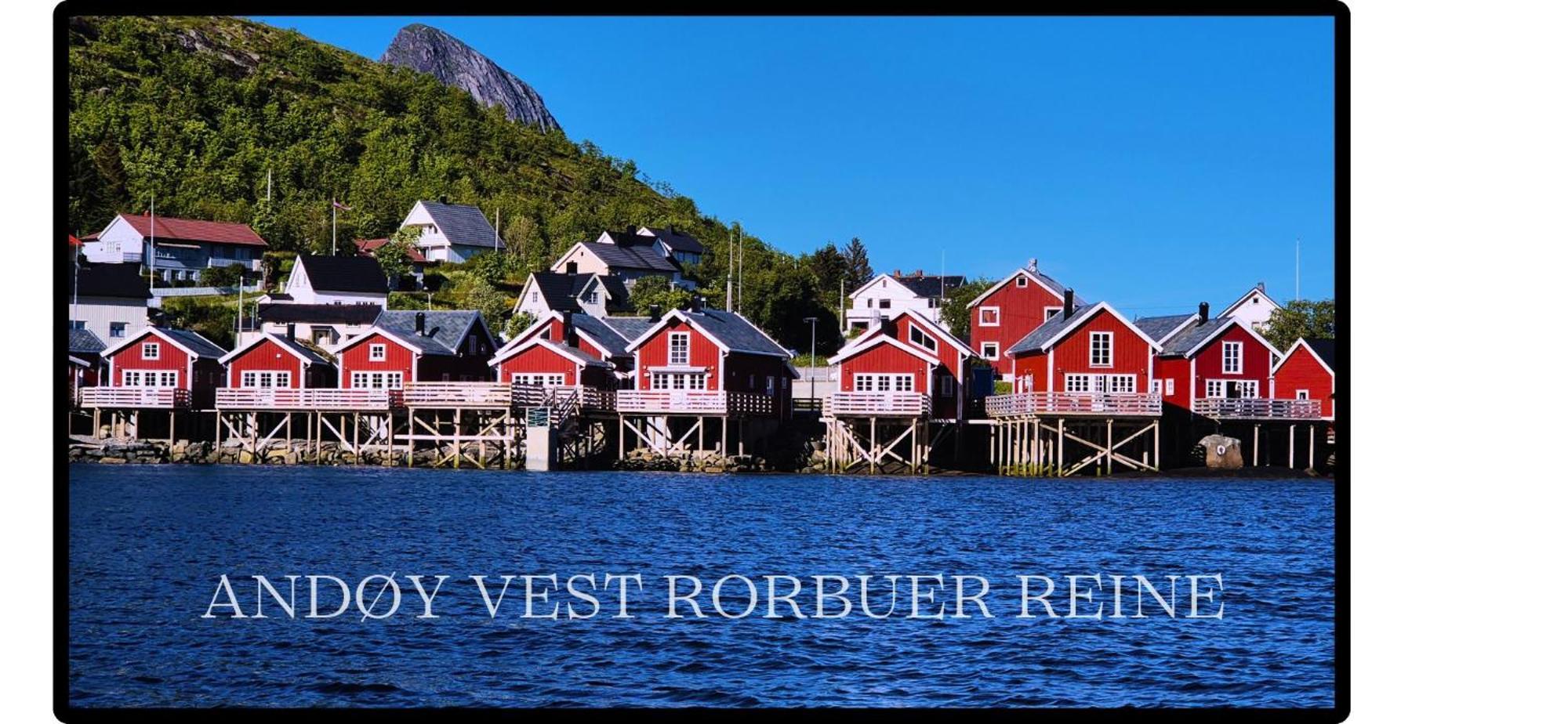 Andoy Vest Rorbuer Reine Villa Екстериор снимка